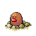 venomoth viglaj-bildoj-gif